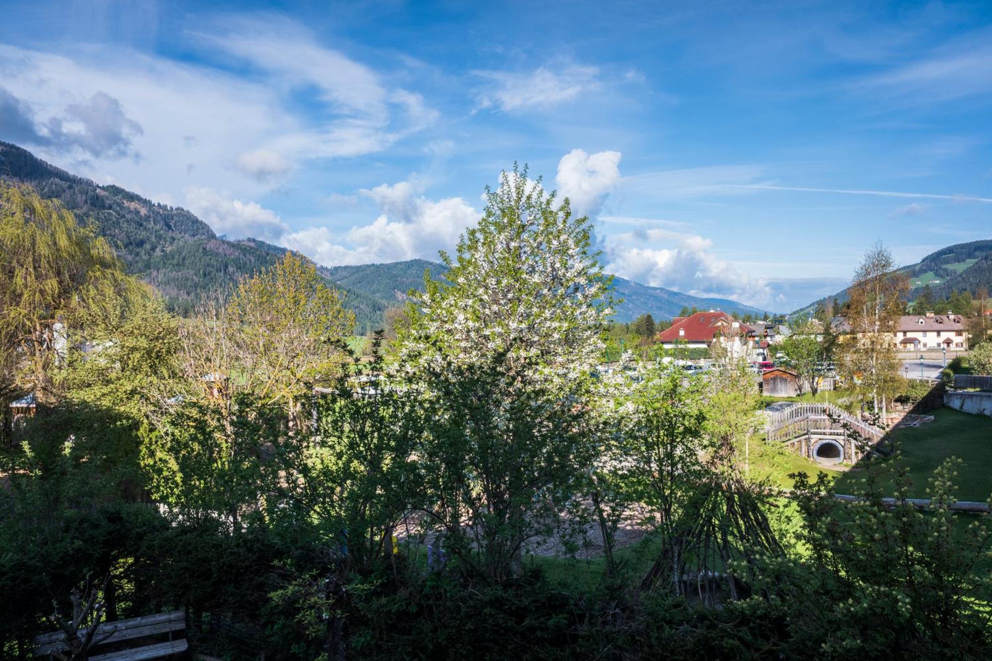 Rosa Alpina - Appartamento Nelle Dolomiti Toblach Exterior foto